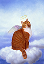 %_tempFileNameAngel%20Cats%