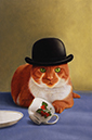 %_tempFileNamePaws%20for%20Alarm%