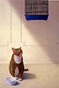 %_tempFileNamePlease%20Do%20Feed%20the%20Cat%