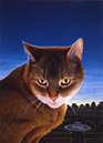 %_tempFileNameThe%20Cat%20Next%20Door%