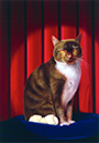%_tempFileNameThe%20Cat%20Who%20wasn't%20a%20Dog%