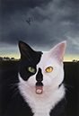 %_tempFileNameThe%20Diamond%20Cat%