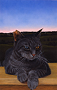 %_tempFileNameWhiskers%20&%20Smoke%