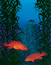%_tempFileNameDRAGON%2013%