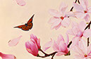 %_tempFileNamemagnolia%